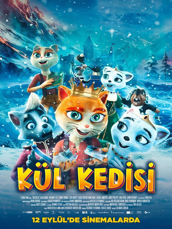 Film adı