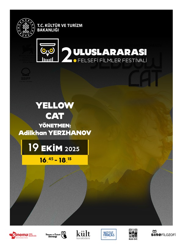 Sarı Kedi - Yellow Cat