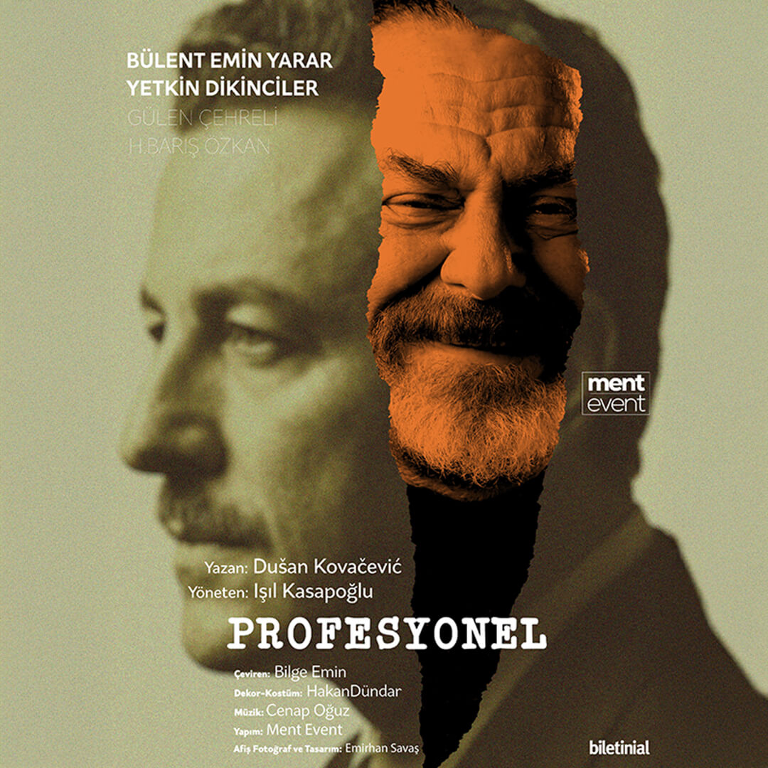 Profesyonel