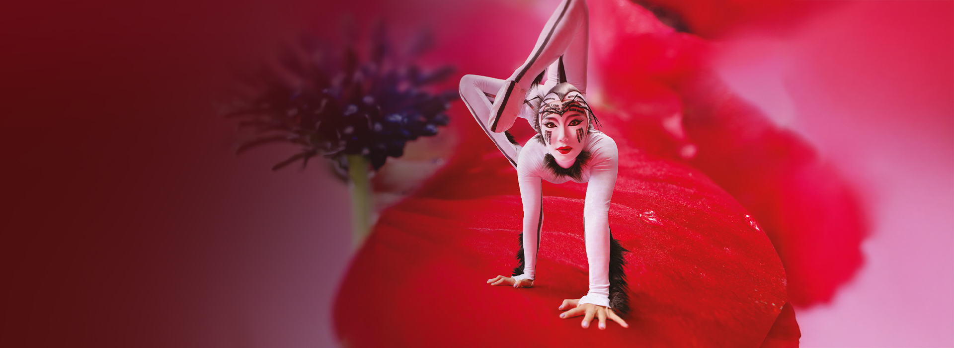 OVO – Cirque Du Soleil