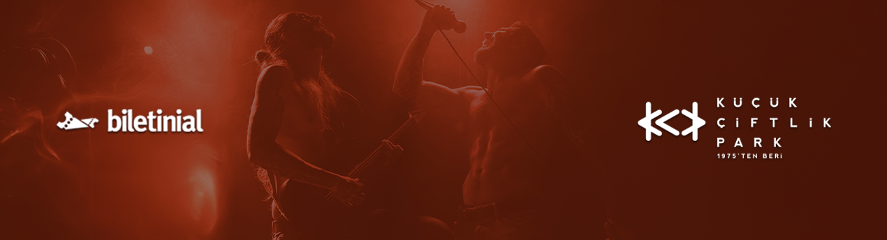Banner Alanı