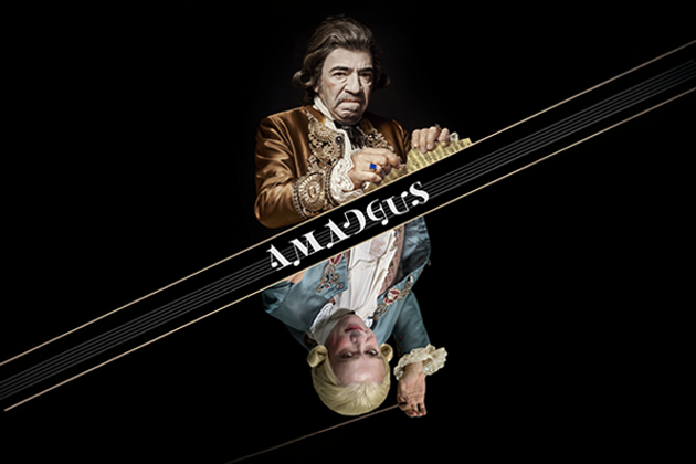 Amadeus - Veda Turnesi