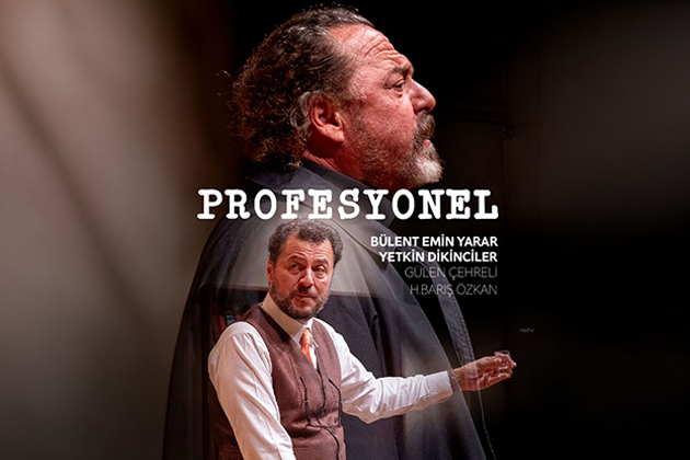 Profesyonel